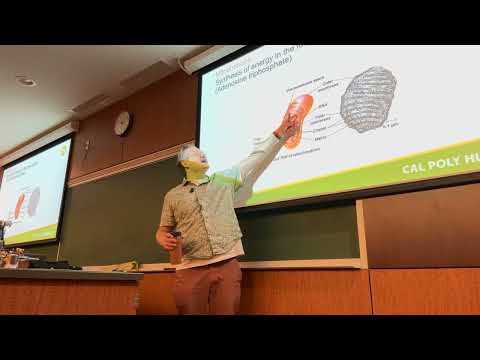 BIOL 105 Lecture 18 10/7/26