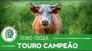 Miniatura do vídeo