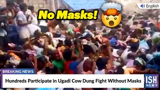 Hundreds Participate in Ugadi Cow Dung Fight Without Masks