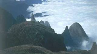 We Are Pirates - Running