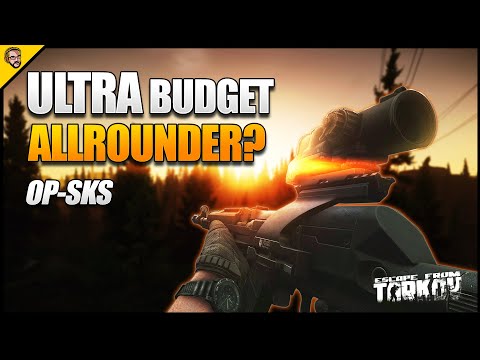 Wieso ihr die SKS spielen solltet - Waffen Guide - Escape From Tarkov