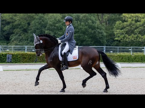 Alberto García-Briñón y Pampero FS en la Small Final de 7 años (69.527%).