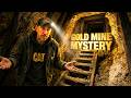 Huge Gold Nuggets and Barren Veins! The Mystery of the Reed Gold Mine