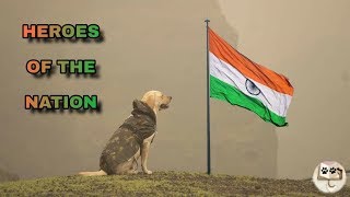 Tribute To PULWAMA ATTACK | 13 Soldier Dogs Died In Attack | Unhe Kashmir Chahiye Or Hume Unka Sir