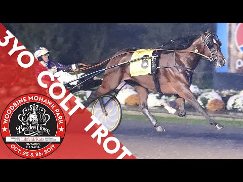 2019 Breeders Crown - Gimpanzee - 3YO Colt Trot