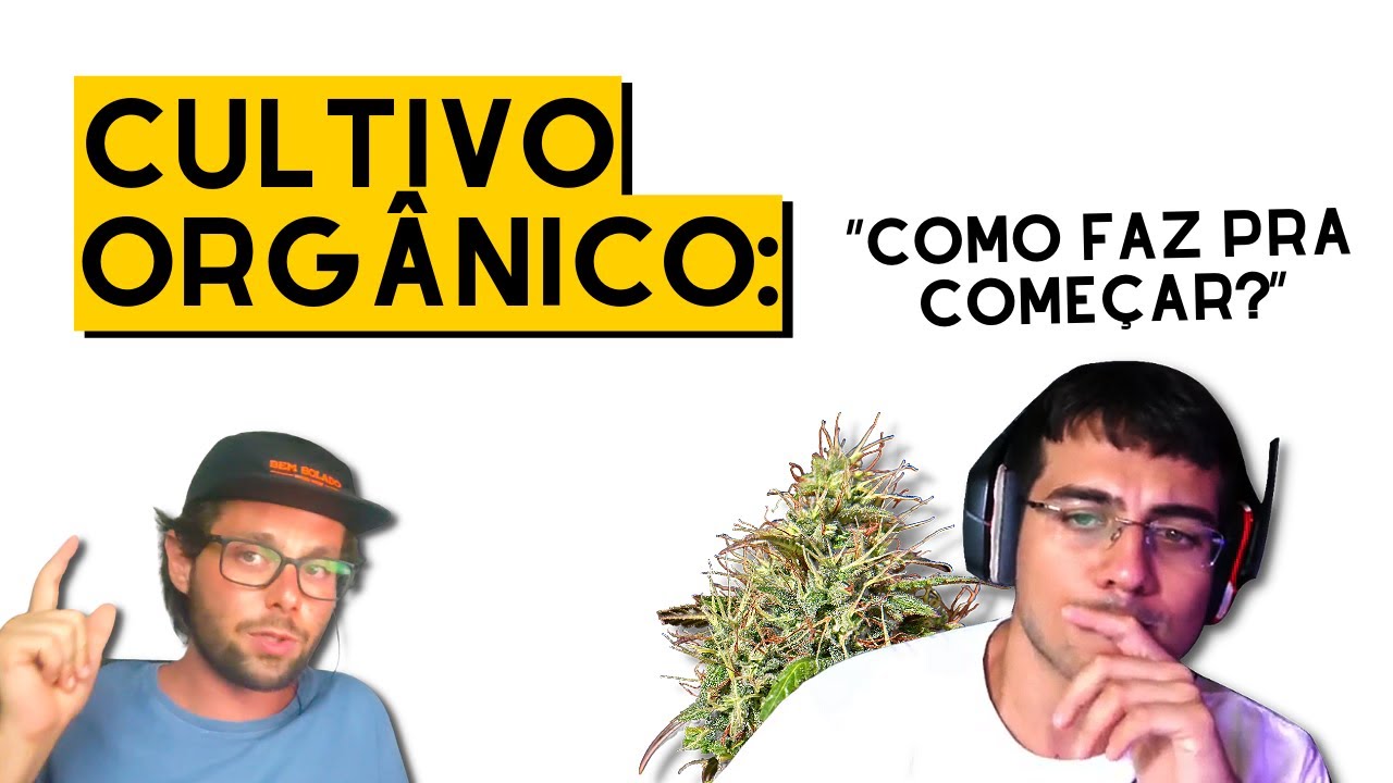 Cultivo Orgânico: dicas do especialista Danilo da Organo Lab
