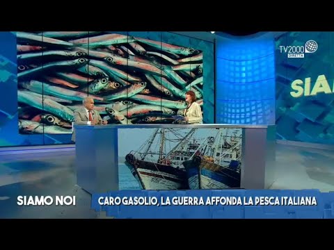 Siamo Noi, 9 giugno 2022 - Il caro gasolio colpisce i pescherecci: settore in crisi