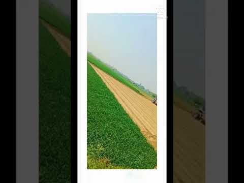 E meri Zohra jabeen nature like status #SahilSaifi #ZaidSaifi #NasirSaifi