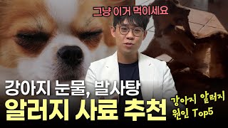 강아지 눈물, 발사탕, 알러지까지? 보호자들이 진짜 많이 물어보는 사료 추천