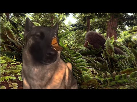 That One Tame Set On Passive