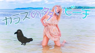 【カラス】強風ビーチを散策。（ ; ; ）