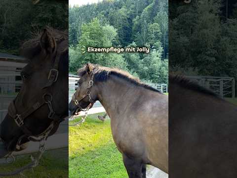Ekzemerpflegekombi