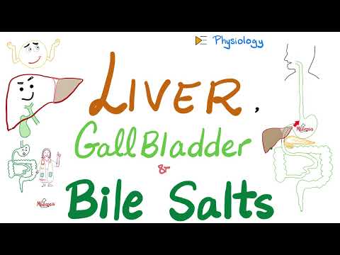 Bile Acids, Bile Salts — Lipid Emulsification — Liver & Gallbladder — GI Physiology & Biochemistry