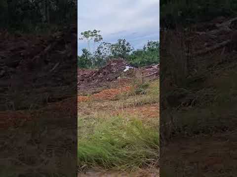 Lixão de Porto Walter corre risco de contaminar a agua do igarapé maloca