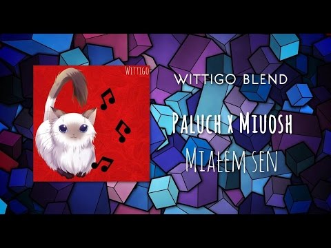Paluch x Miuosh - Miałem Sen (Wittigo Blend)