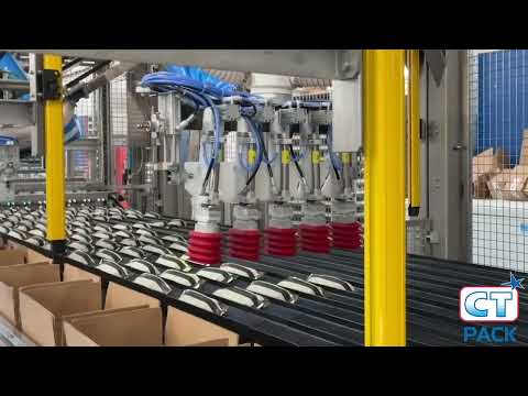 CT Pack: Extruded Ice Cream Packaging Line