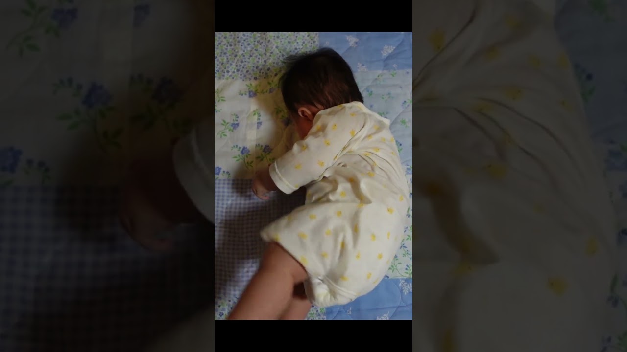 感動の30秒間（The first time Ponu roll overed）#Shorts