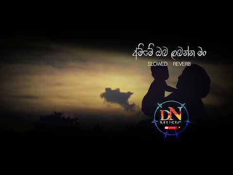 Amme oba labanna man .....(slowed × reverb )