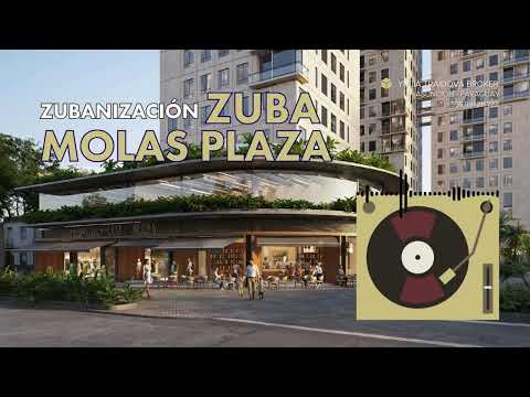 Asunción 2029 Inversión Segura en Zuba Molas Plaza Fitch Approved