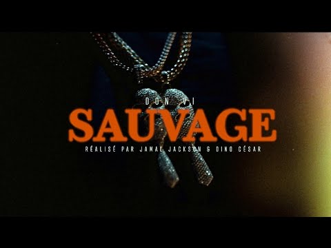 Don Vi - Sauvage ( Mixtape Ouragan)