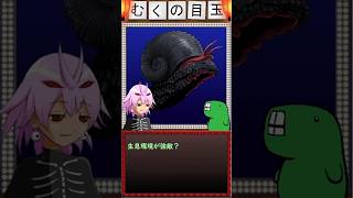 まるでクリーチャー！！？な深海生物「ウロコフネタマガイ」さん