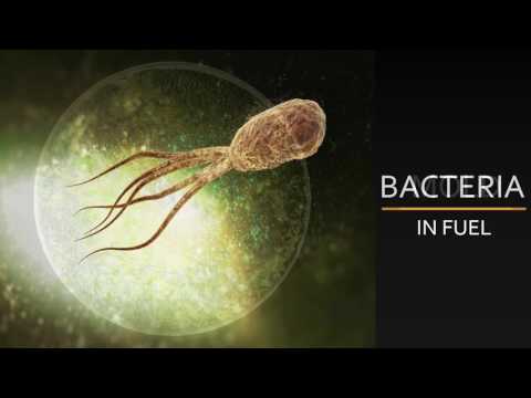 Hydra FuelPlus Biocide - Fuel Additives for Marine, Aviation, Automobile & Fuel Bug Test Kits