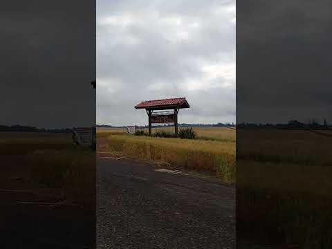 Linda Paisagem De Lunardelli para São João PR