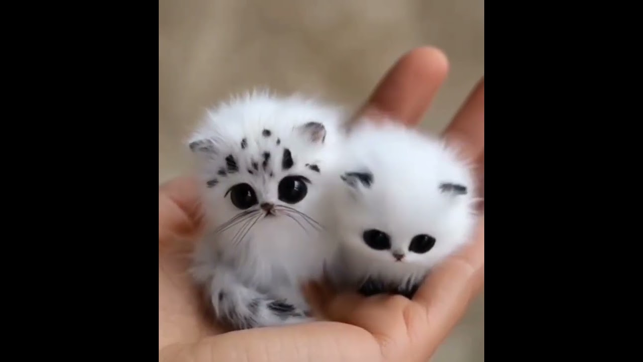 Cute 💞