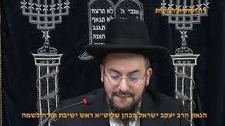 הלכות שבת מלאכת בונה הגאון הרב יעקב ישראל הכהן שליט"א (דר וסוחרת - הלוויין של מרן) - התמונה מוצגת ישירות מתוך אתר האינטרנט יוטיוב. זכויות היוצרים בתמונה שייכות ליוצרה. קישור קרדיט למקור התוכן נמצא בתוך דף הסרטון