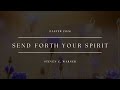 Psalm 103/104: Send Forth Your Spirit (Warner)