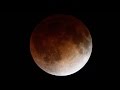 Blood Moon rare total lunar eclipse (NASA STREAM.