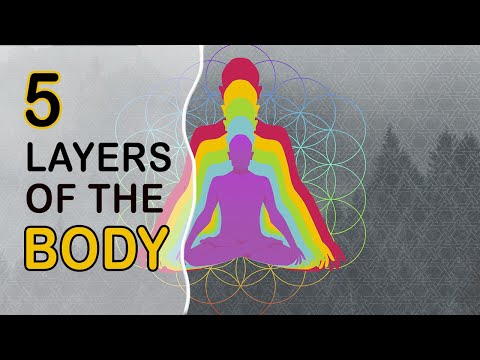 5 layers of the body