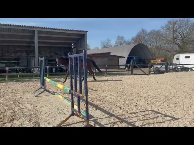 A vendre Belle AQPS 7 ANS 