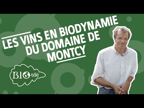 LES VINS EN BIODYNAMIE DU DOMAINE DE MONTCY