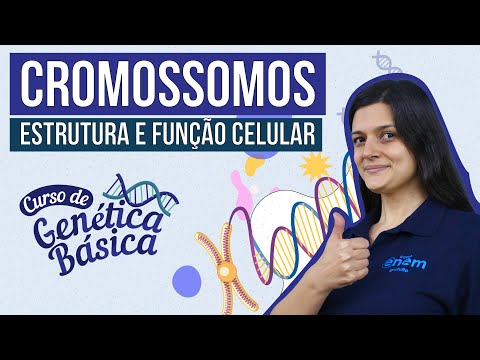 CHROMOSOMES: cellular structure and function | Basic Genetics Course | Biology for ENEM (Brazilia...