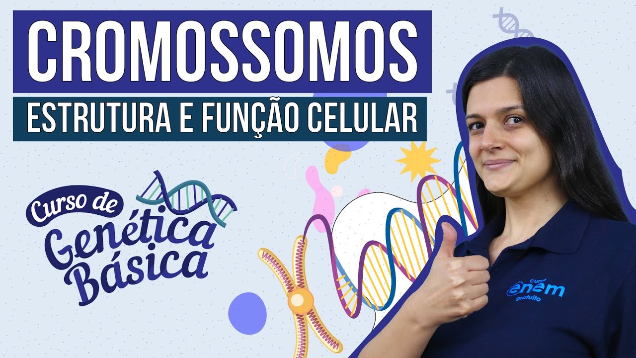 CROMOSSOMOS: estrutura e função celular | Curso de Genética Básica | Biologia Enem | Cláudia Aguiar