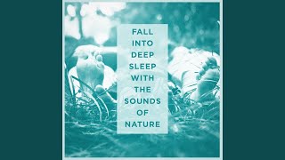 Nocturnal Wasteland Sounds 1: Crickets, Grasshoppers and Owls