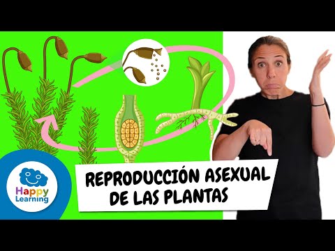 Cómo signar Reproducción Sexual en LSE