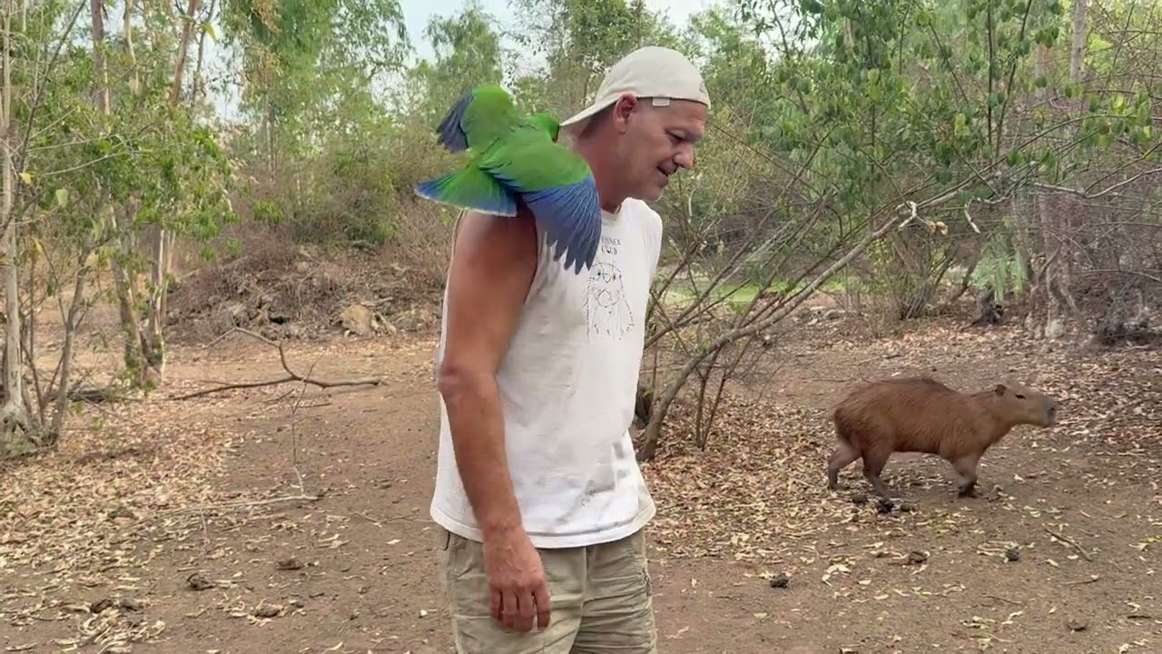 Oficialmente soy un delincuente