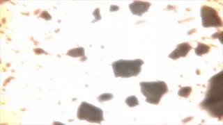ソロ花攻撃モーション