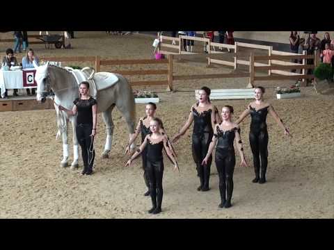 Bayerische Meisterschaften 2017 - Gut Waffenschmiede I