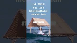 Download lagu status mancing lucu story wa mp3 Download lagu status mancing lucu story wa mp3