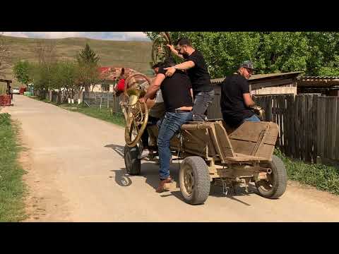 Bun E Vinul Ghiurghiuliu-cover by Trupa MODERN