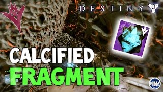 Destiny Calcified Fragments (XVII, VII, VI, V, VIII, IX) | Shattered Past Quest + Reciprocal Rune