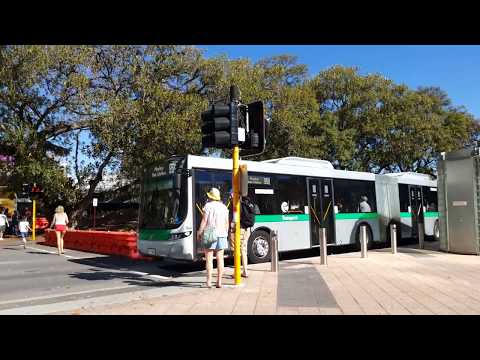Transperth Volvo B8RLEA (Volgren Optimus) TP3096 Departs EQBS Via William Street