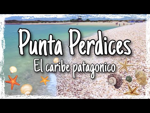 🇦🇷PUNTA PERTICES🇦🇷 THE PATAGONIC CARIBBEAN❗️❗️🏖🏖