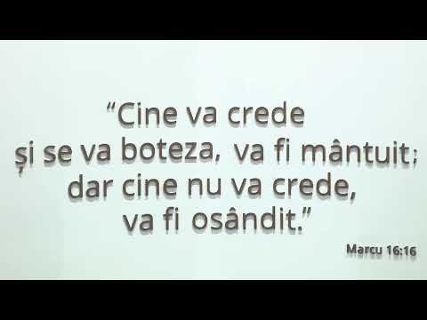 9 februarie 2020 seara | Timp de părtășie | BETEL Zorilor