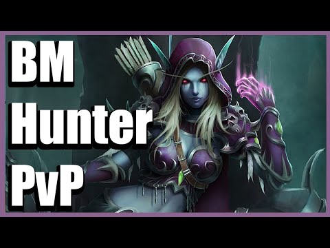 The Beast Within - BM Hunter