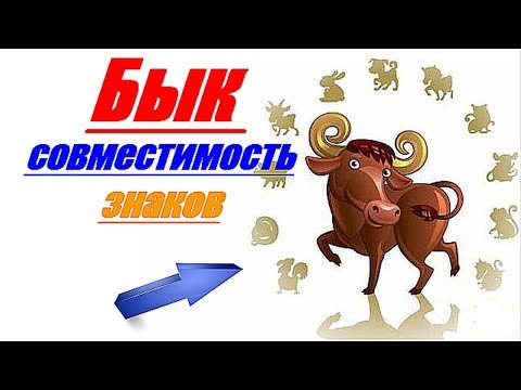 Бык совместимость знаков