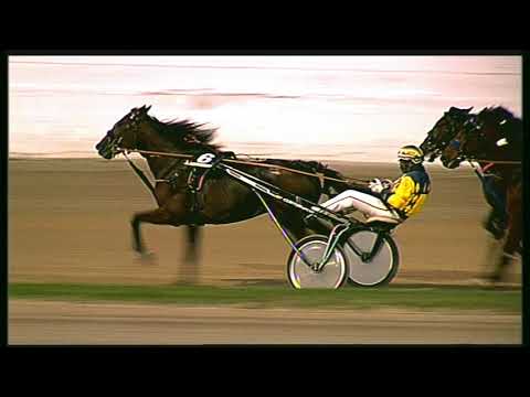 Trotto 30/10/2020 - 8ª corsa